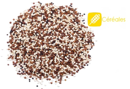 graines de quinoa étalées avec logo céréales