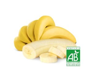 Une grappe de banane à côté d'une demi banane et de trois tranches de bananes issues d'agriculture biologique sur fond blanc