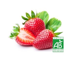 Deux fraises entières à côté d'une demi fraise issues d'agriculture biologique sur fond blanc