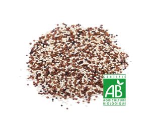 De nombreuses graines de quinoa bio surgelé éparpillées sur fond blanc