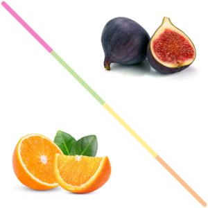 Une figue entière à côté d'une demi figue et une orange entière à côté d'une moitié d'orange sur fond blanc