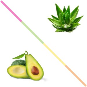 Un avocat tranché en deux devant un avocat entier surgelé et un aloe vera entier sur fond blanc